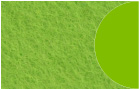 Standardfarbe 14